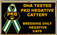 pkdnegcattery.gif